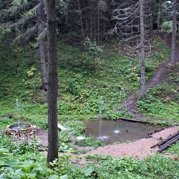 picture
