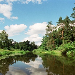 picture