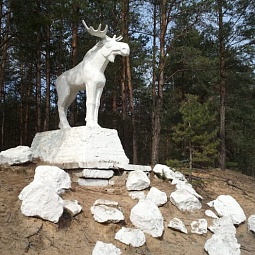 picture